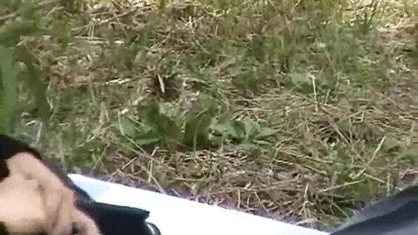 Pisklęta są chętne filmy porno za darmo hd na twarde kutasy